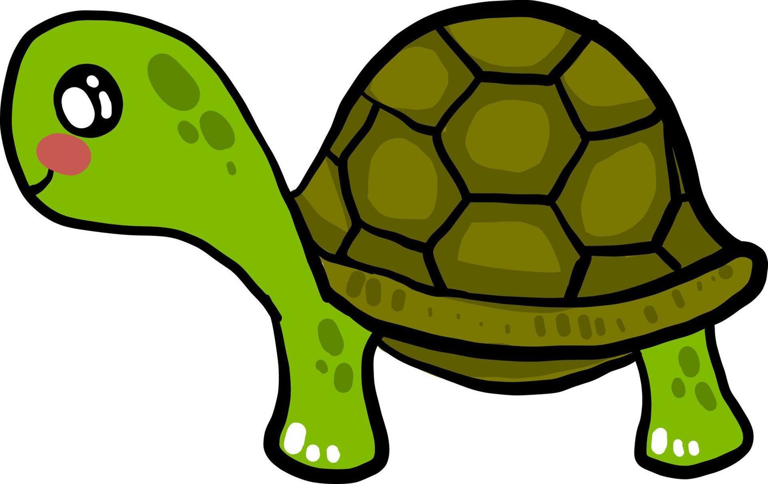 tartaruga verde bonitinha, ilustração, vetor em fundo branco.