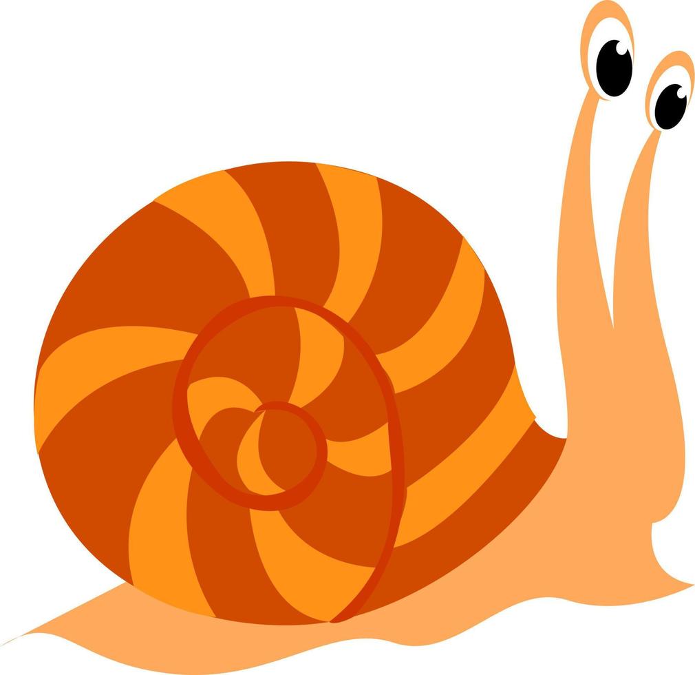 pequeno caracol, ilustração, vetor em fundo branco.