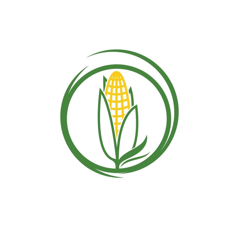 agricultura milho vector icon design