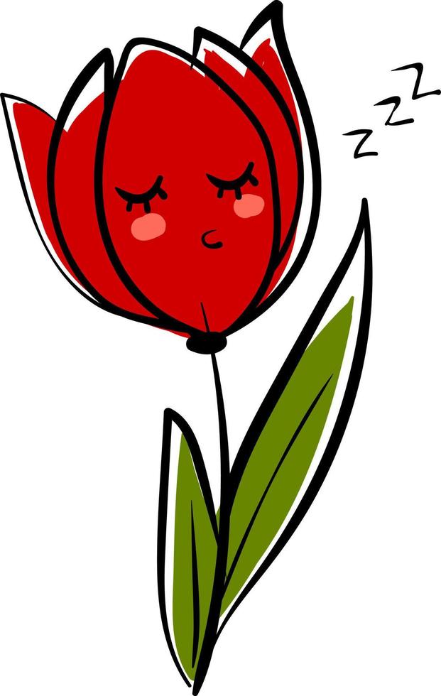 flor de tulipa, ilustração, vetor em fundo branco.
