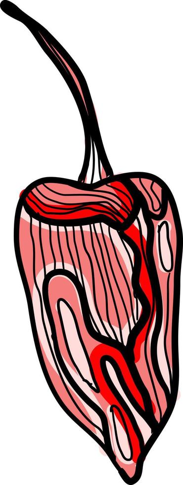 pimenta seca quente, ilustração, vetor em fundo branco.