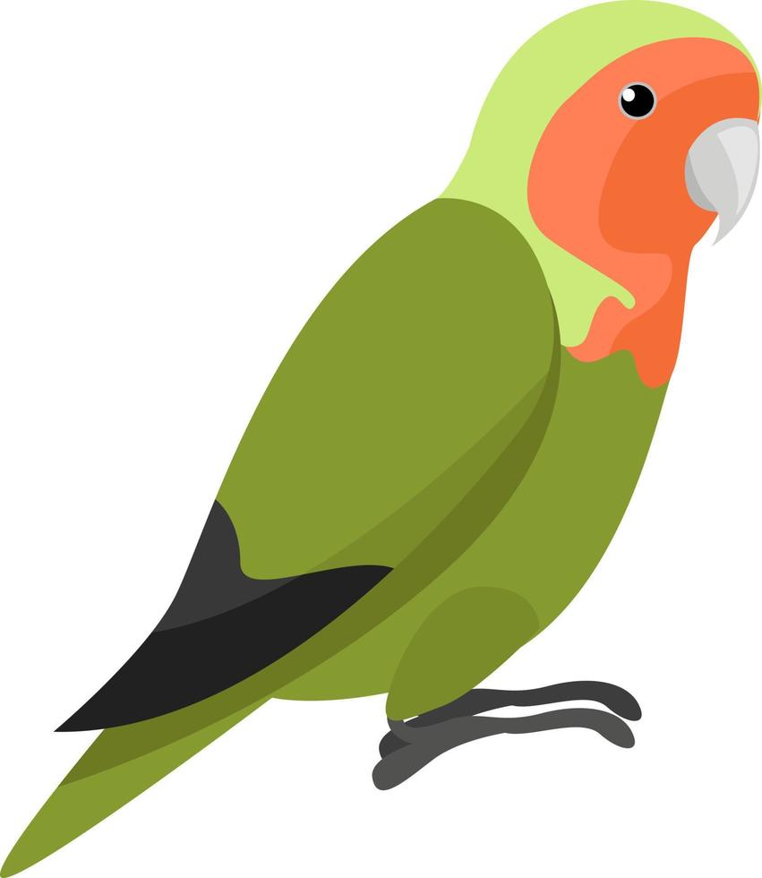 papagaio verde, ilustração, vetor em fundo branco