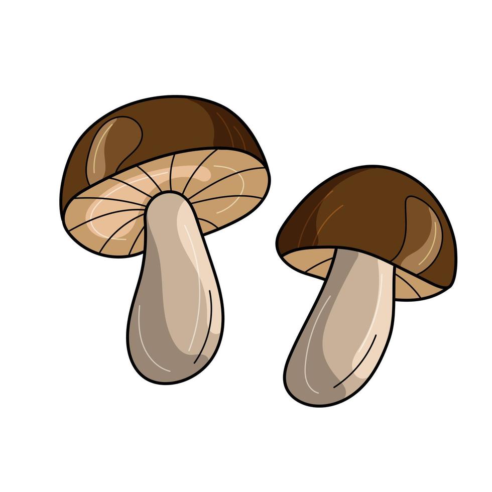 desenho vetorial de cogumelo dos desenhos animados em branco. ícone de dois cogumelos fofos marrons para design vetor