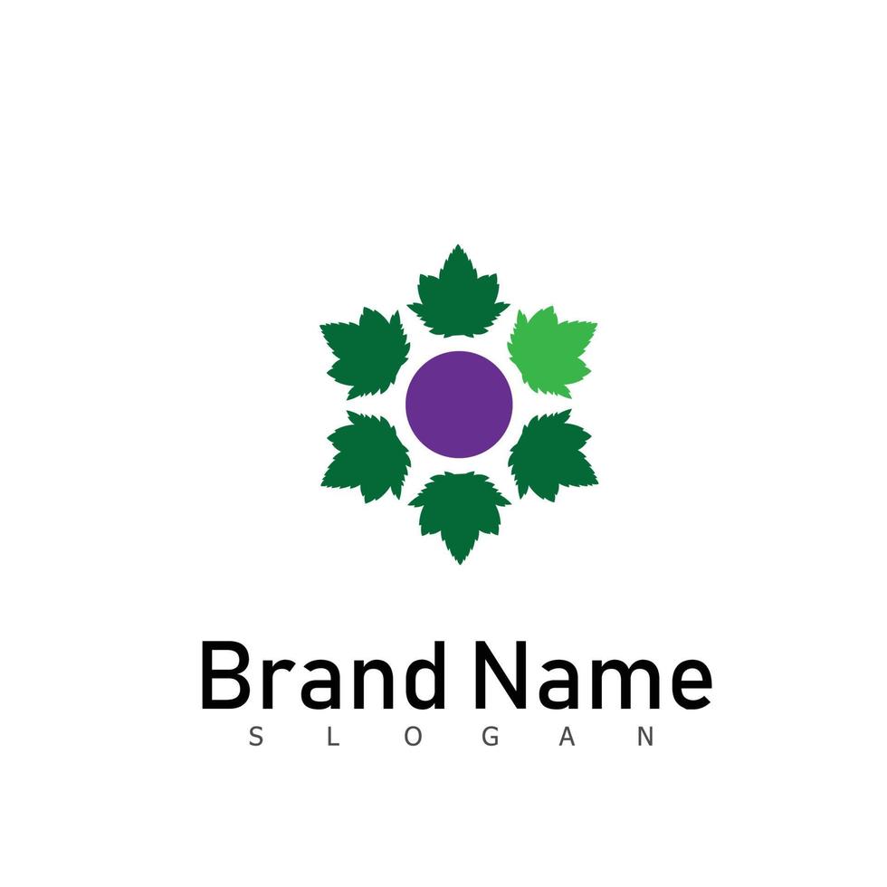 fruta uva logotipo design natureza símbolo vetor