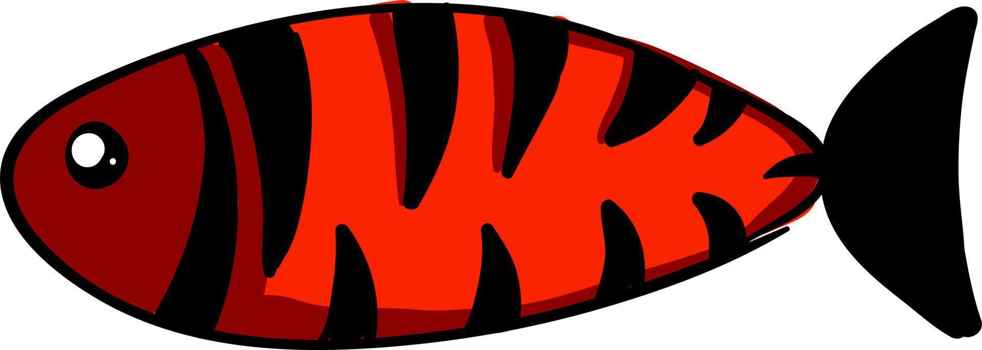 peixe vermelho com listras pretas, ilustração, vetor em fundo branco.
