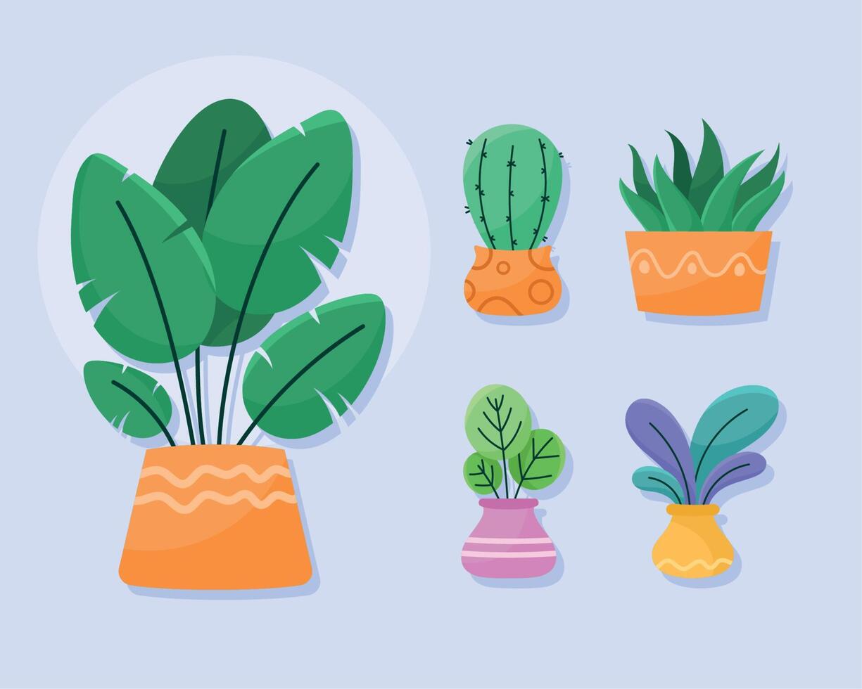 cinco plantas de casa em vasos vetor