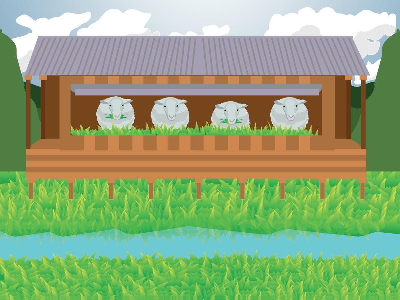 ilustração vetorial conjunto de fazenda de ovelhas vetor