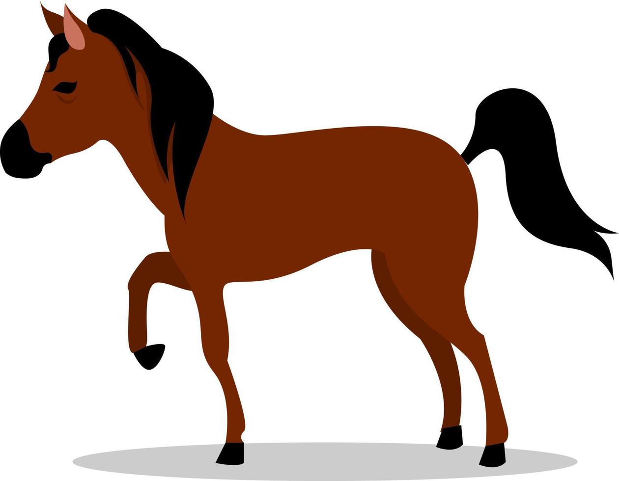 cavalo marrom, ilustração, vetor em fundo branco.