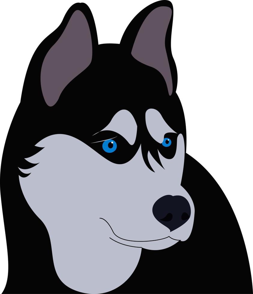 husky siberiano com olhos azuis, ilustração, vetor em fundo branco.