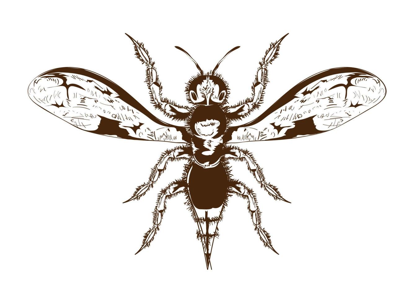 design de ícone de bug vetor