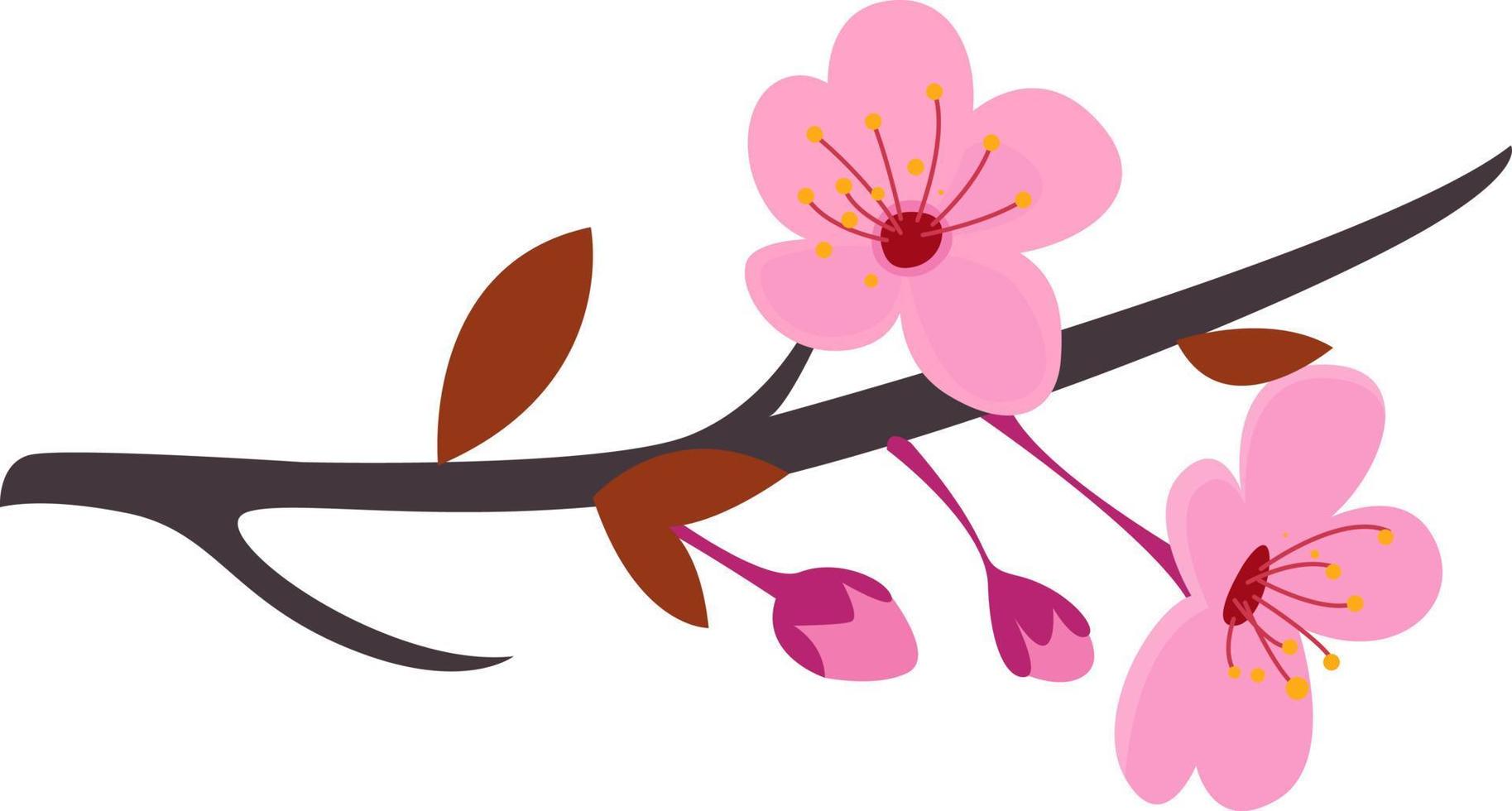 árvore de sakura, ilustração, vetor em fundo branco
