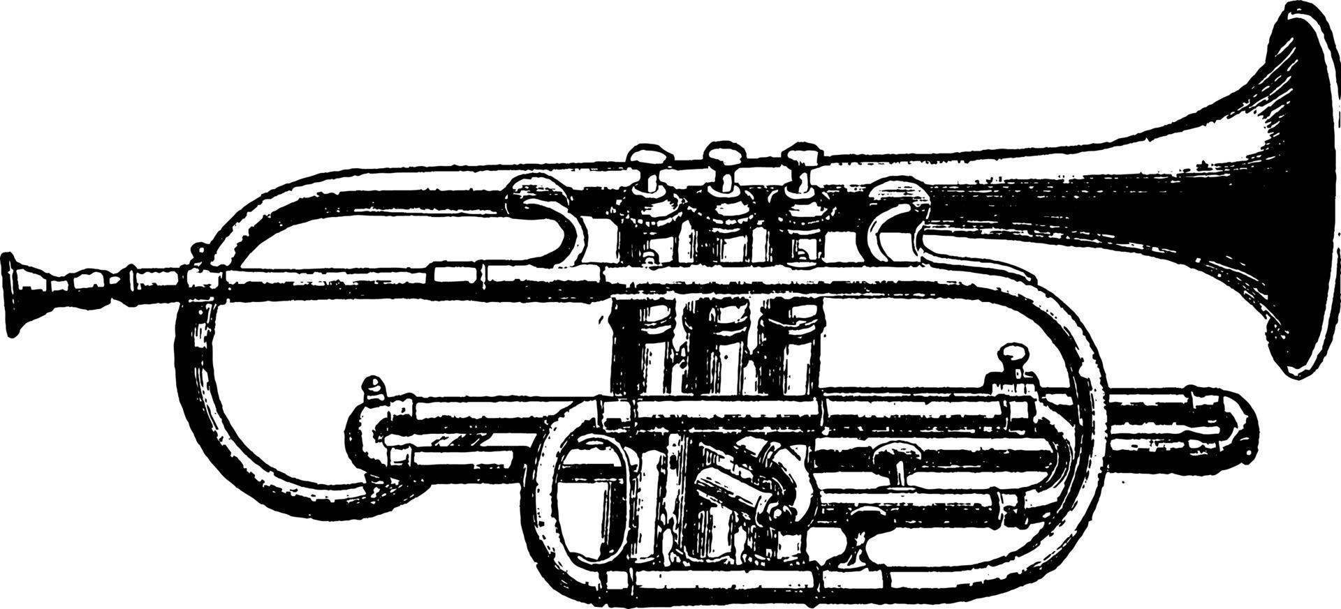 pistões trompette a', ilustração vintage vetor
