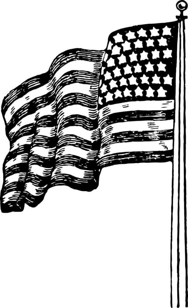 bandeira dos estados unidos para trás, ilustração vintage vetor