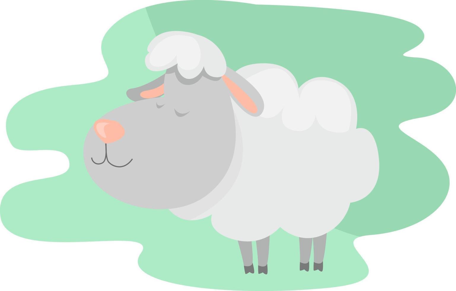ovelha branca, ilustração, vetor em fundo branco