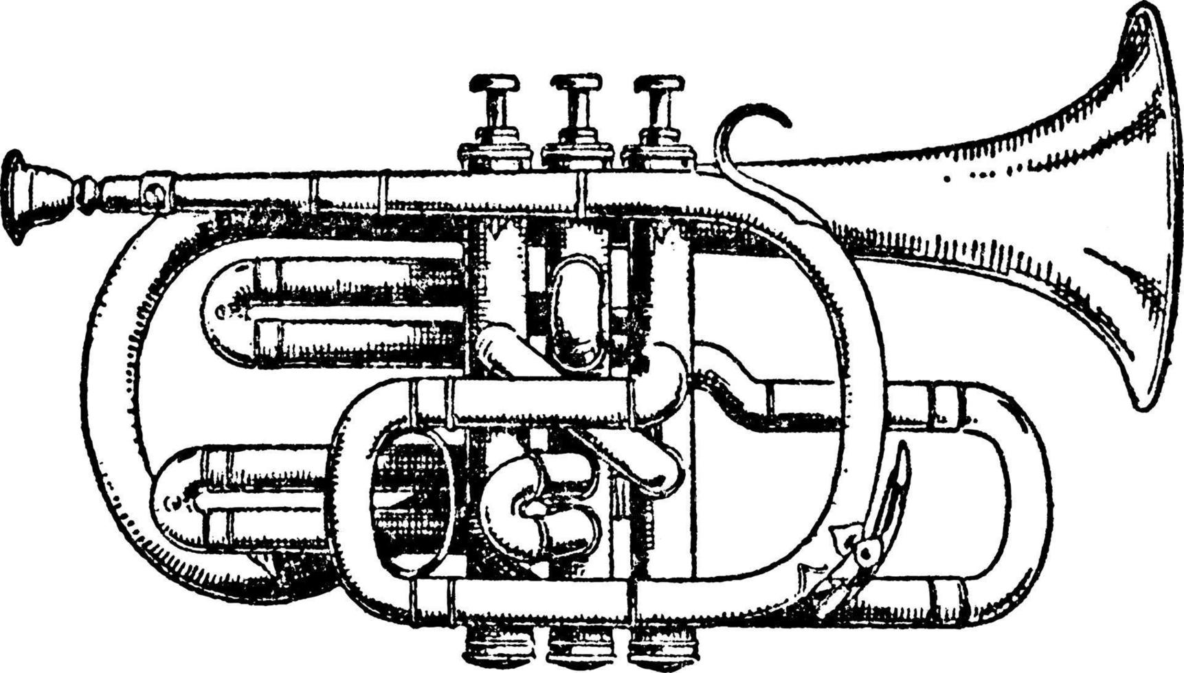 corneta, ilustração vintage. vetor