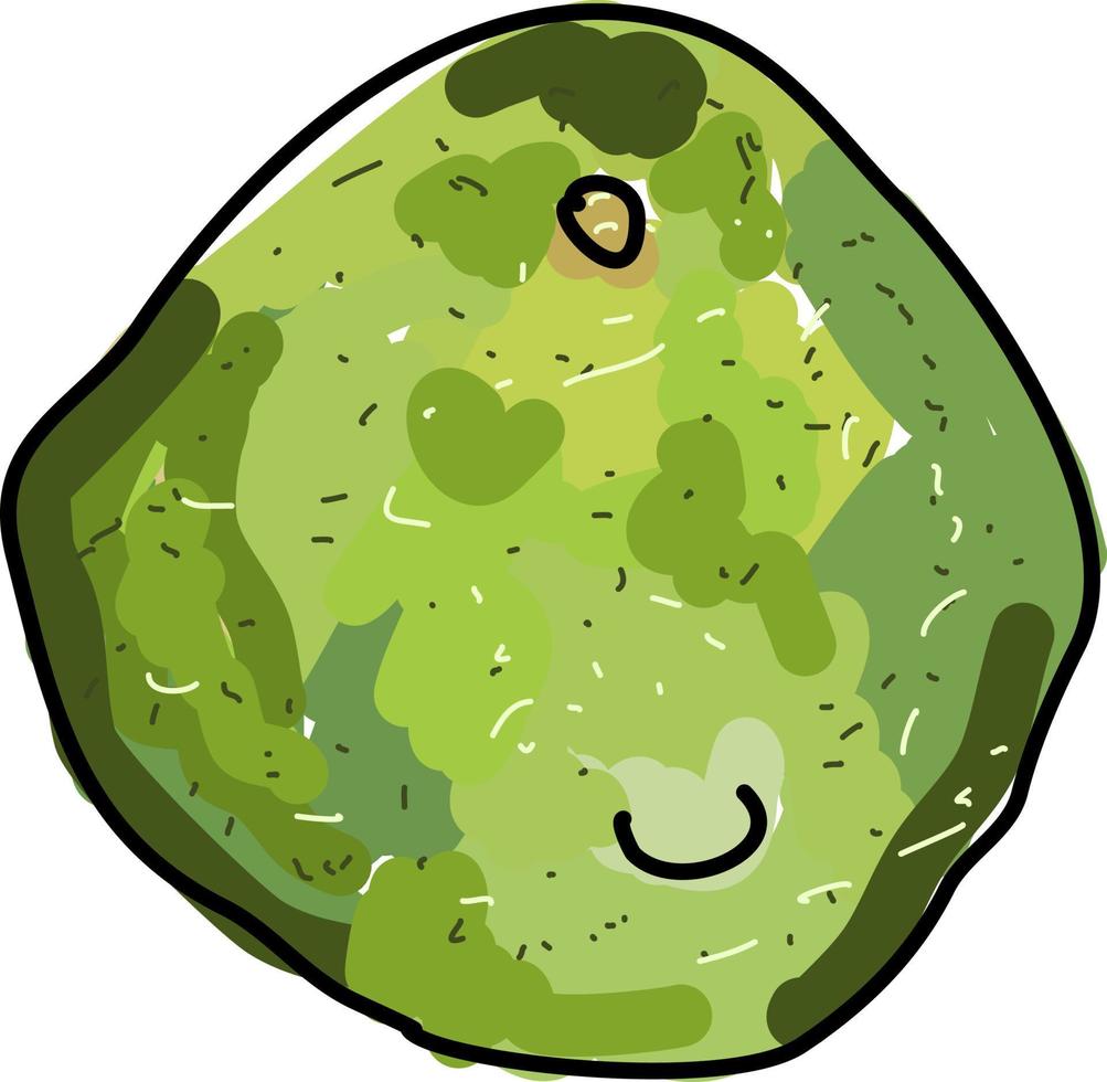 pomelo, ilustração, vetor em fundo branco.