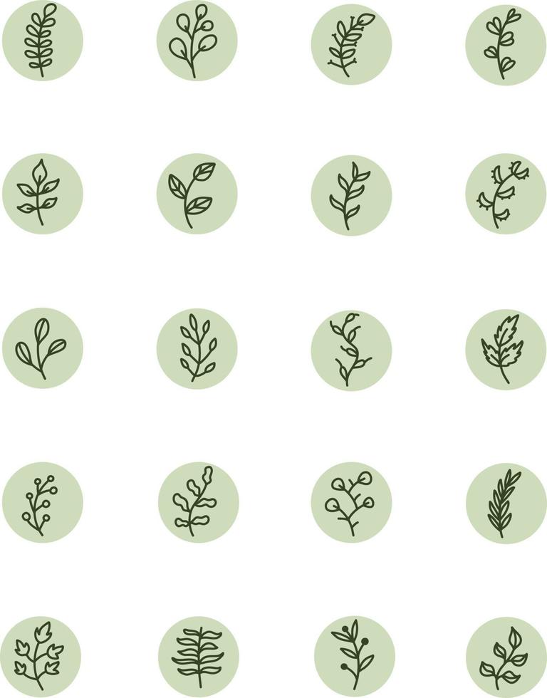 folhas decorativas em um galho, ilustração, vetor em um fundo branco