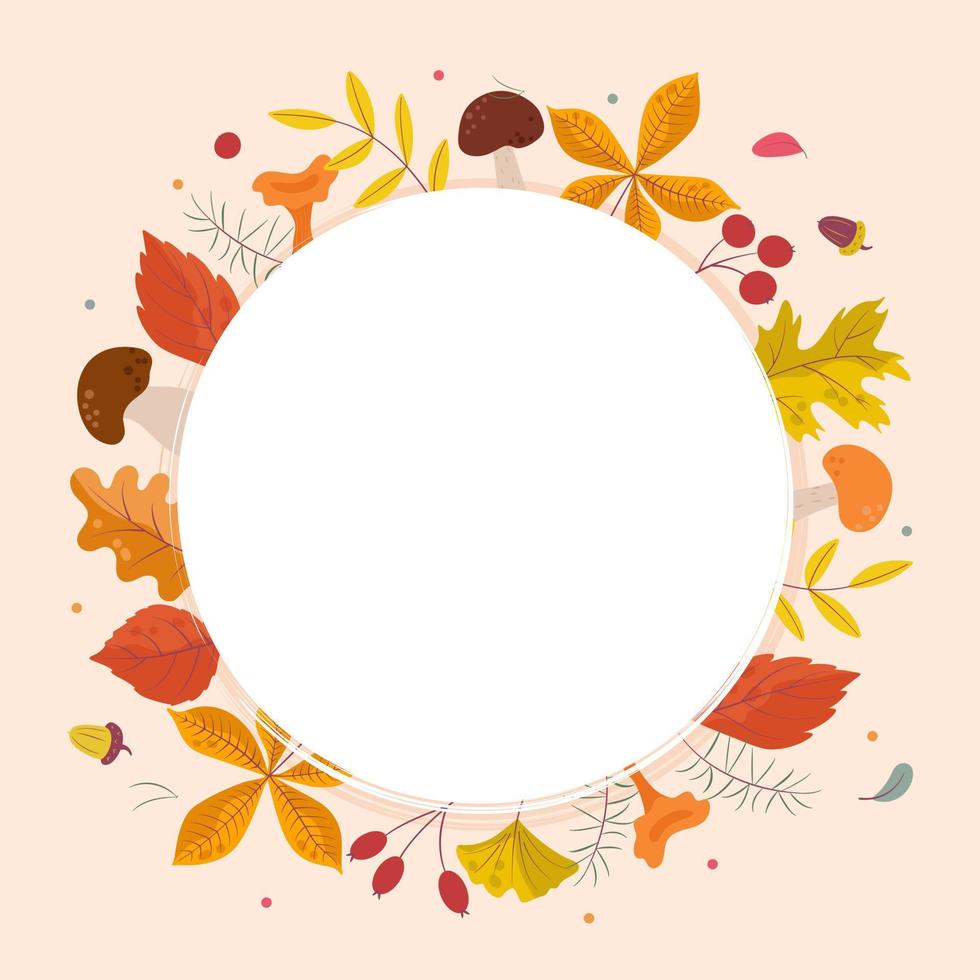 quadro de folhas de outono, forma circular com diferentes tipos de folhas ao redor, copyspace. ilustração vetorial fofa em estilo cartoon plana, modelo de banner vetor