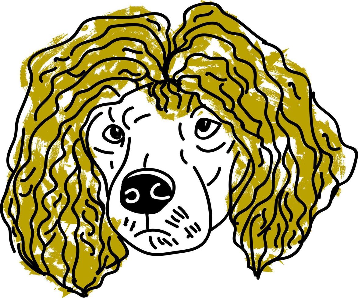 poodle com cabelo, ilustração, vetor em fundo branco.