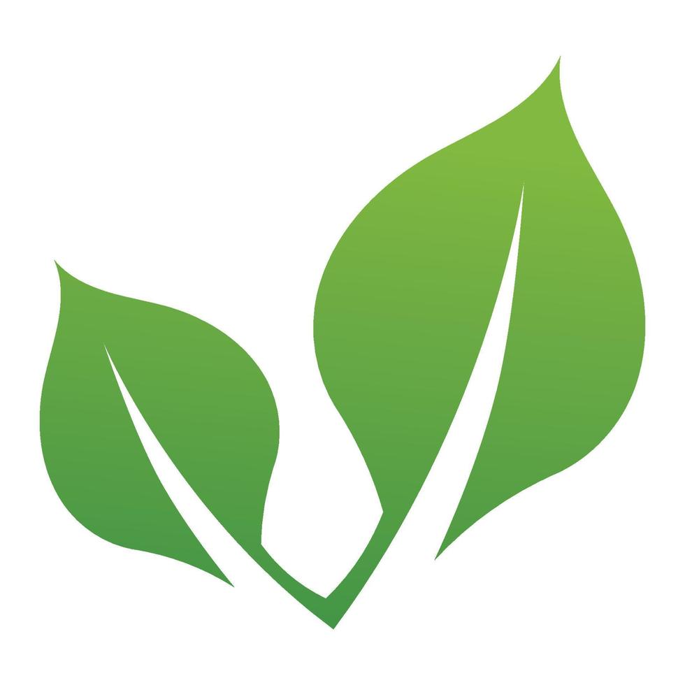 folha verde logotipo e vetor de símbolo