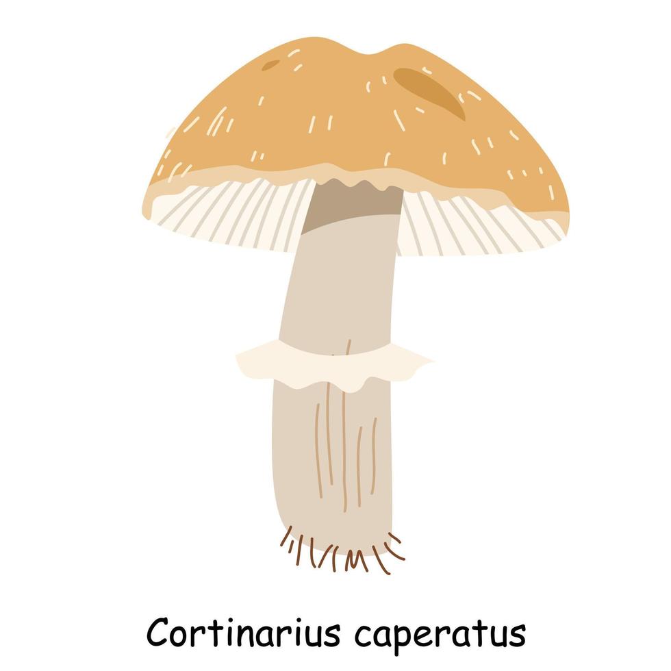 um vetor plano de um cogumelo comestível isolado em um fundo branco.