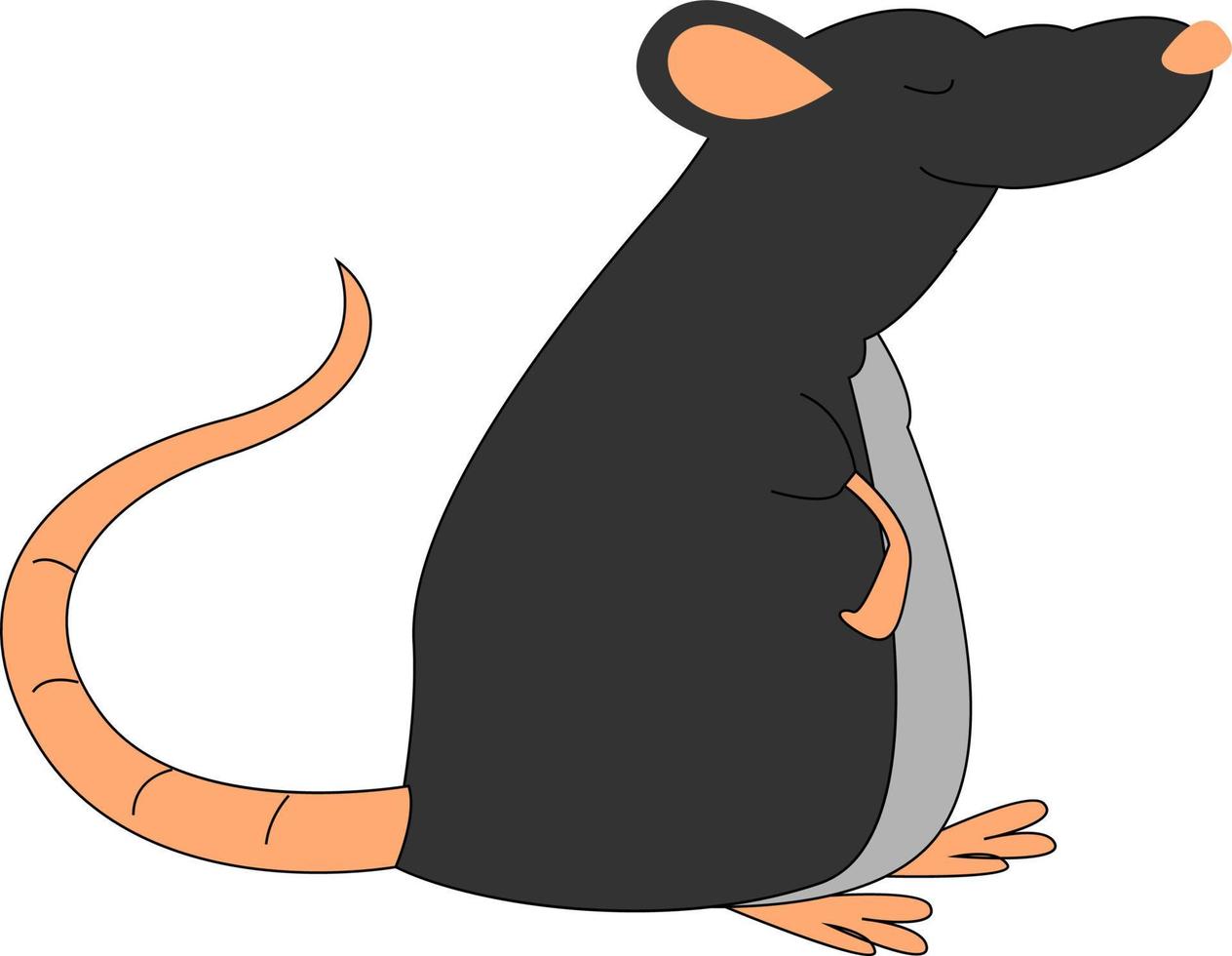 rato preto gordo, ilustração, vetor em fundo branco.