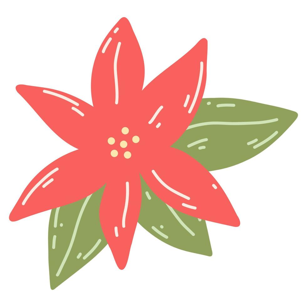 poinsétia em estilo simples de desenho animado. ilustração vetorial desenhada à mão da planta tradicional de natal, elemento floral de férias vetor