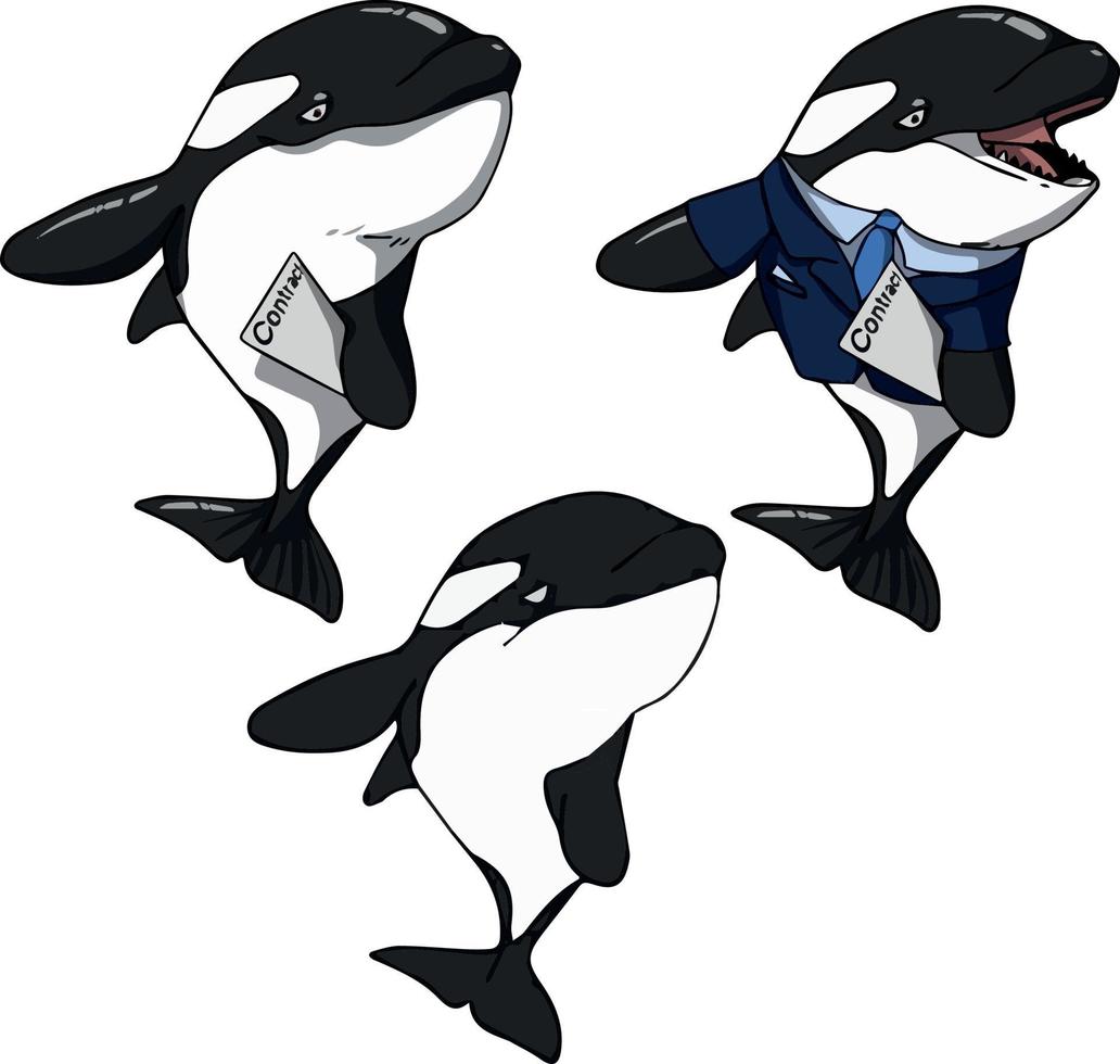 orcas dançando. desenho vetorial de cor. para design e ilustrações. vetor