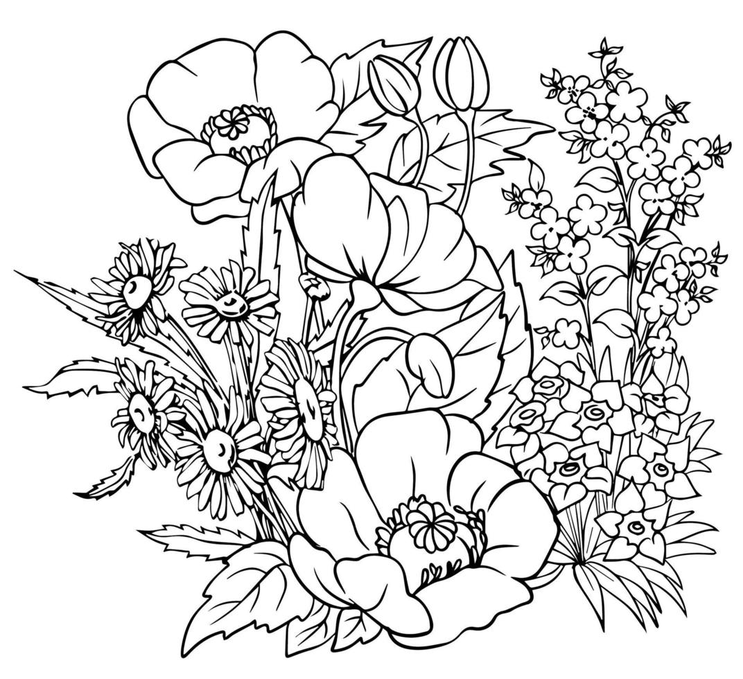 buquê de flores, margarida, esboço de papoula. desenho vetorial preto e branco. para livros de colorir e para design. vetor