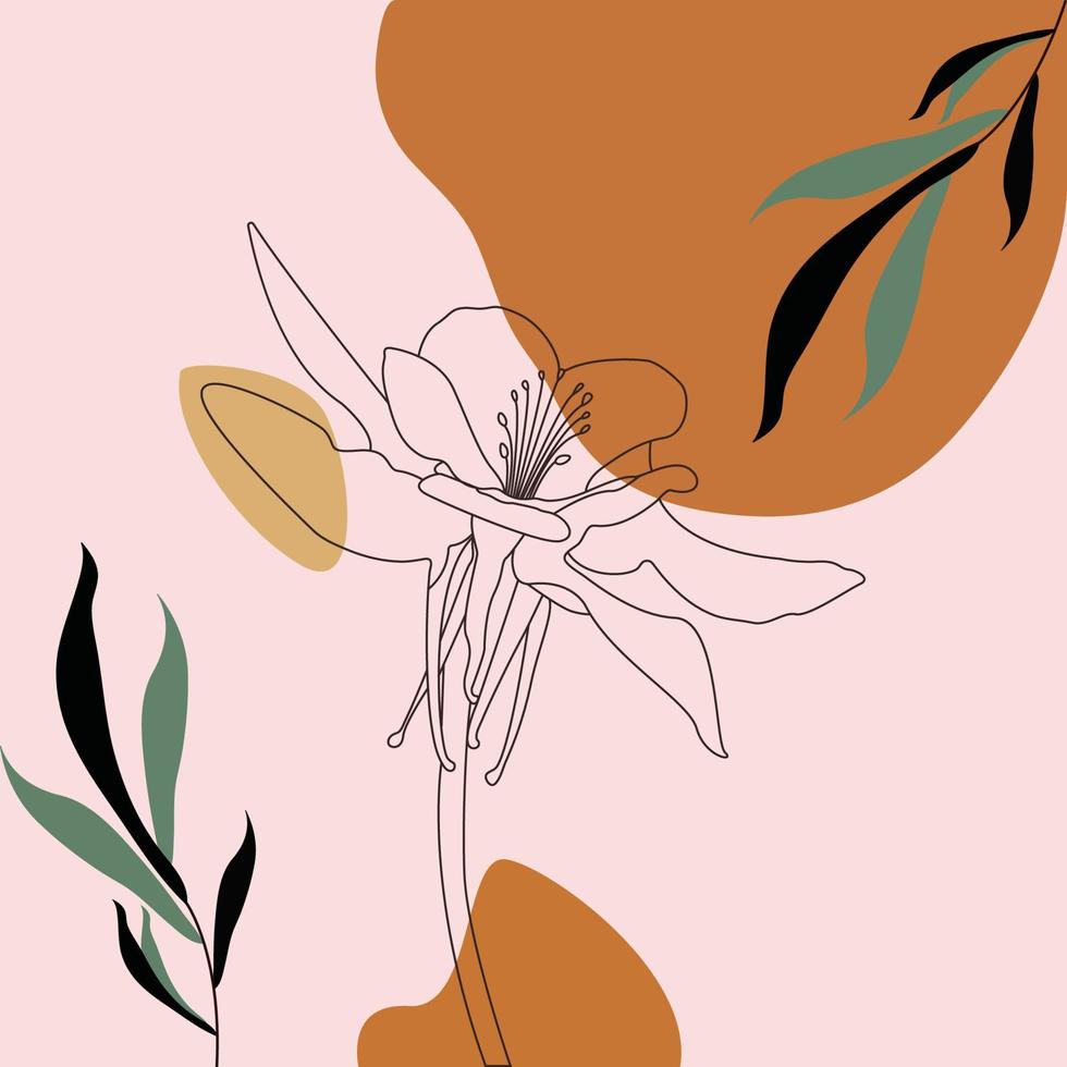 arte de linha simples de ilustração vetorial de flor de orquídea colombiana vetor