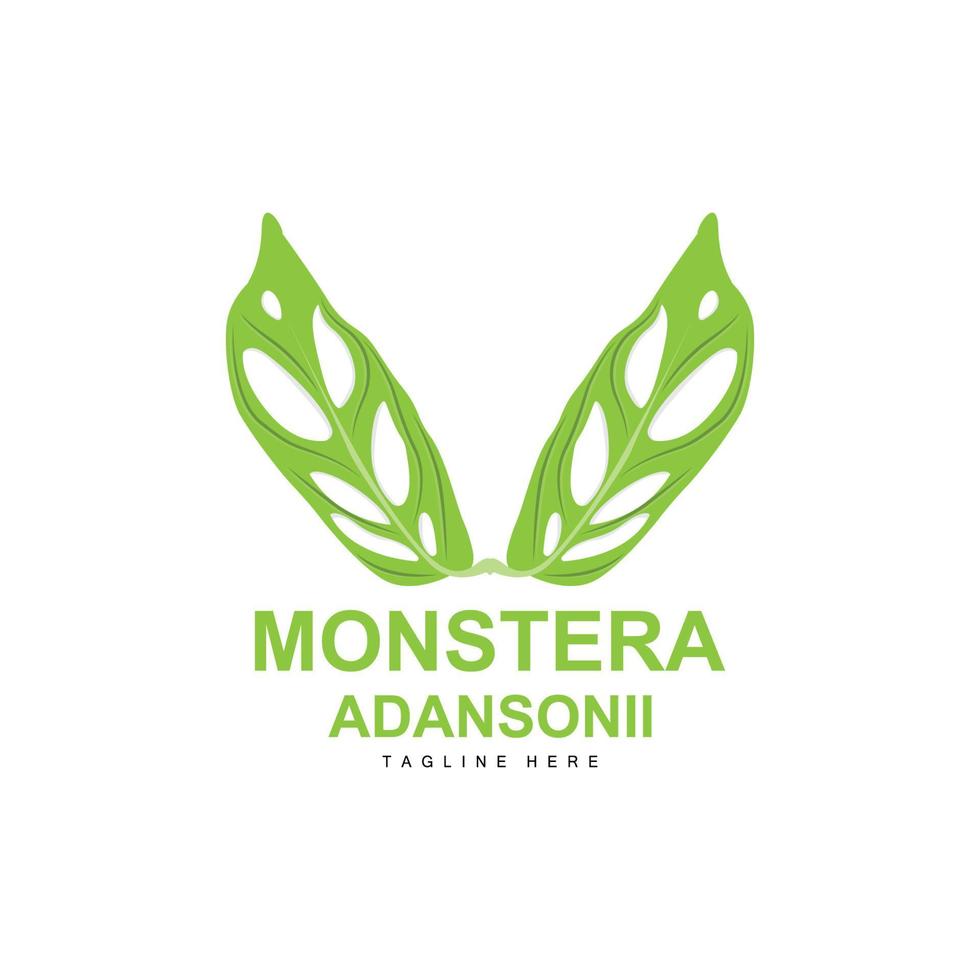 logotipo de folha de monstera adansonii, vetor de planta verde, vetor de árvore, ilustração de folha rara