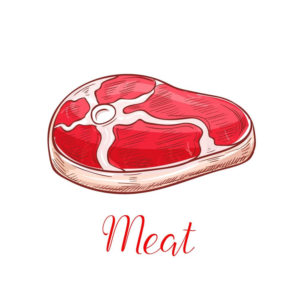 ícone isolado de esboço de vetor de bife de carne fresca