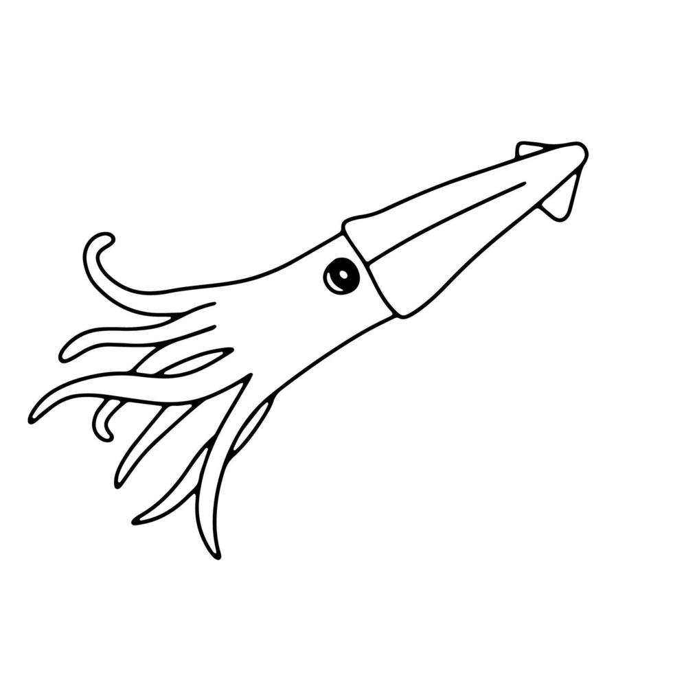 lula de natação vetorial isolada no fundo branco. ilustração de doodle de contorno desenhado à mão oceano ou animal subaquático vetor