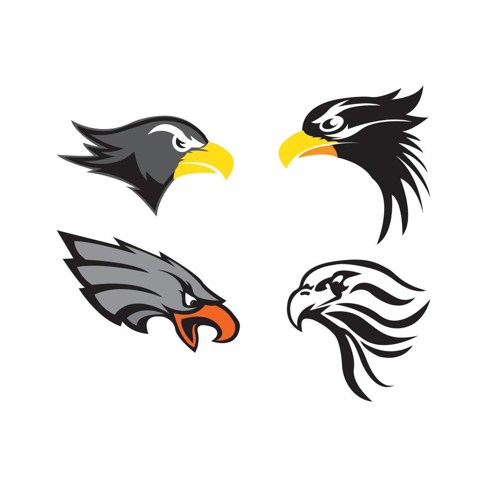 pássaro falcão e design de logotipo, ícone de vetor emblema emblema águia ou falcão