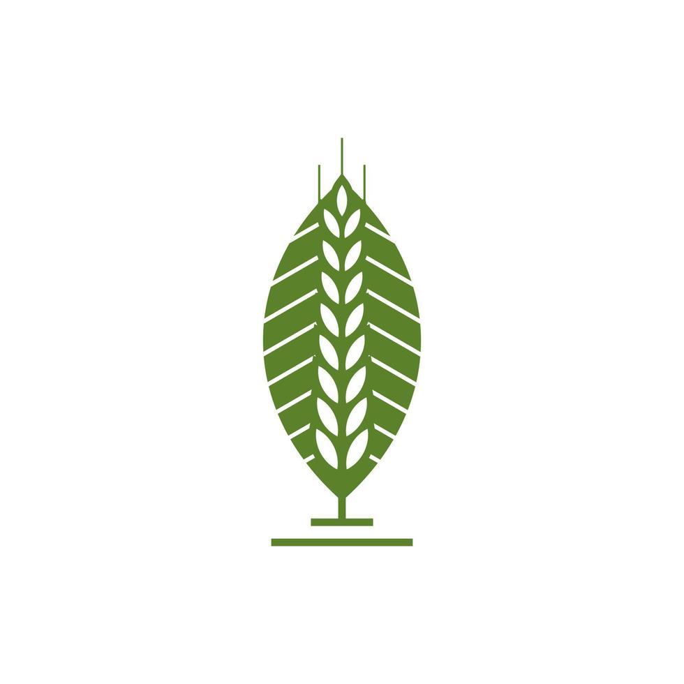 modelo de vetor de design de logotipo de agricultura de grãos de trigo