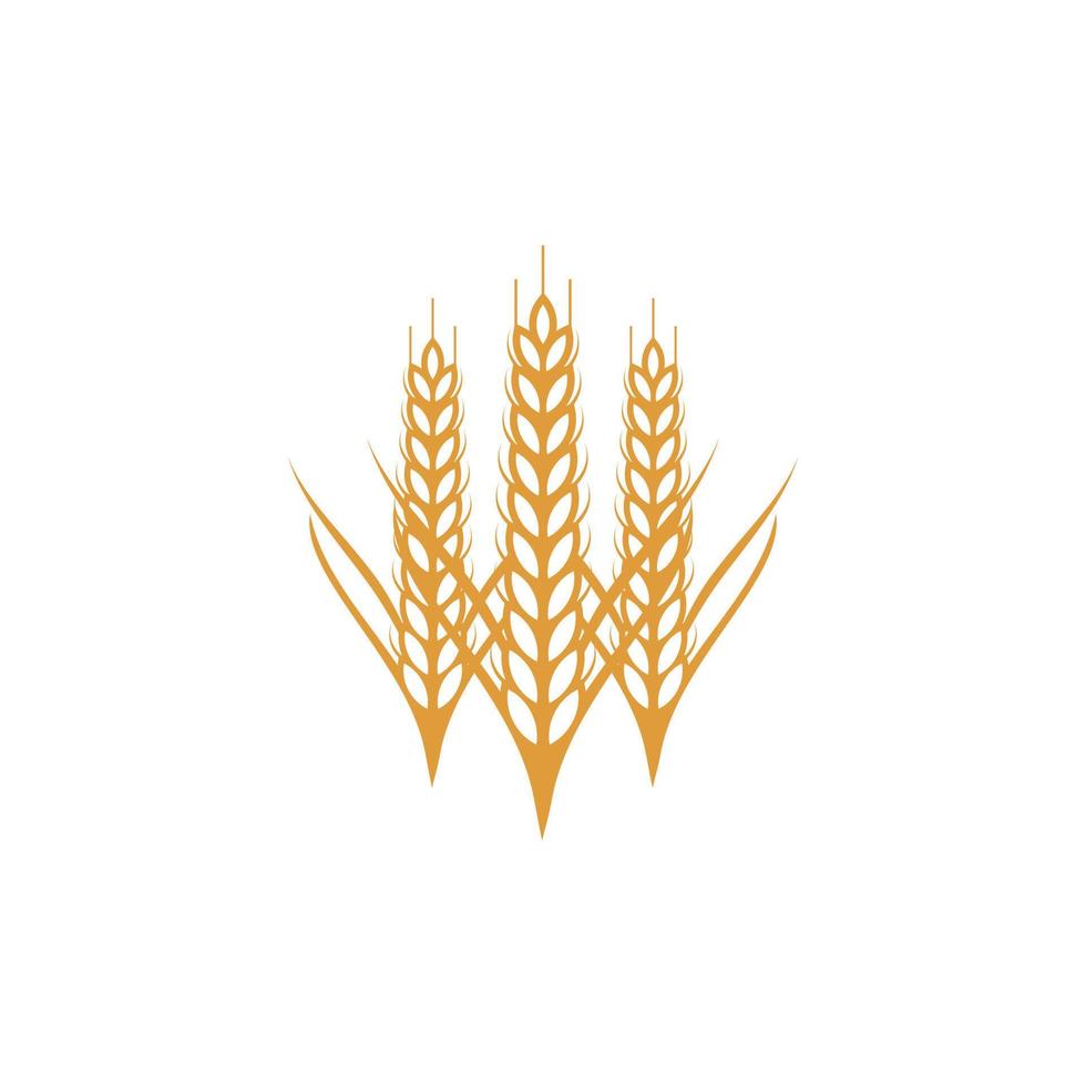 modelo de vetor de design de logotipo de agricultura de grãos de trigo