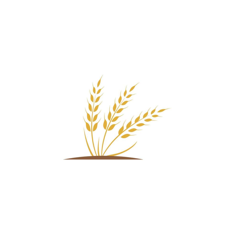 vetor de modelo de logotipo de trigo de agricultura
