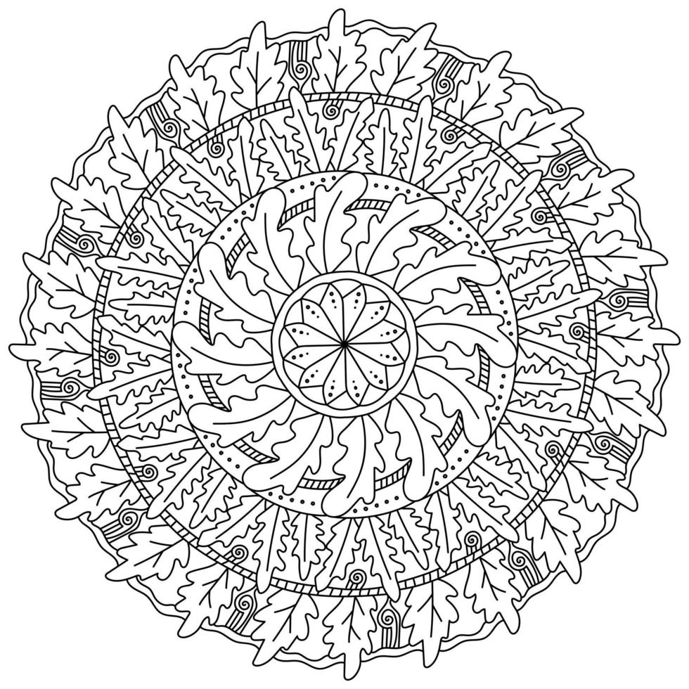 mandala ornamentada com folhas e padrões de carvalho, livro de colorir de meditação de outono vetor