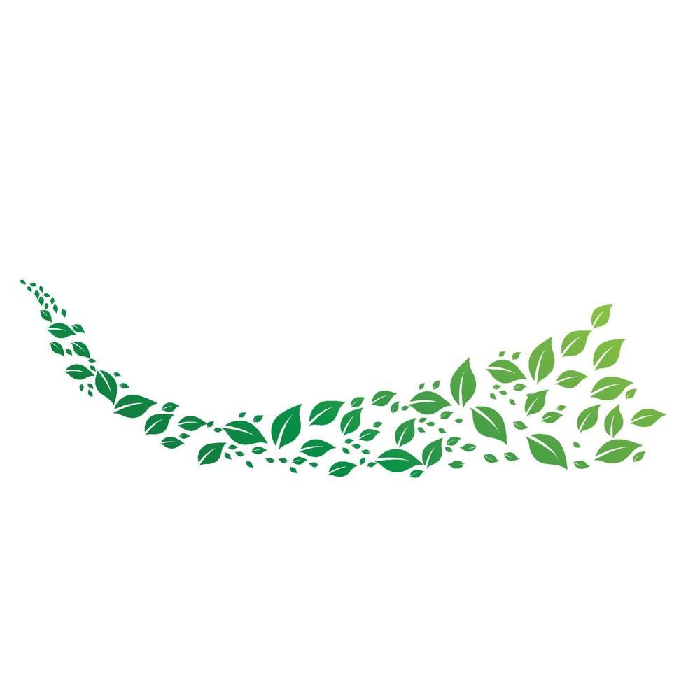 folha verde logotipo e vetor de símbolo