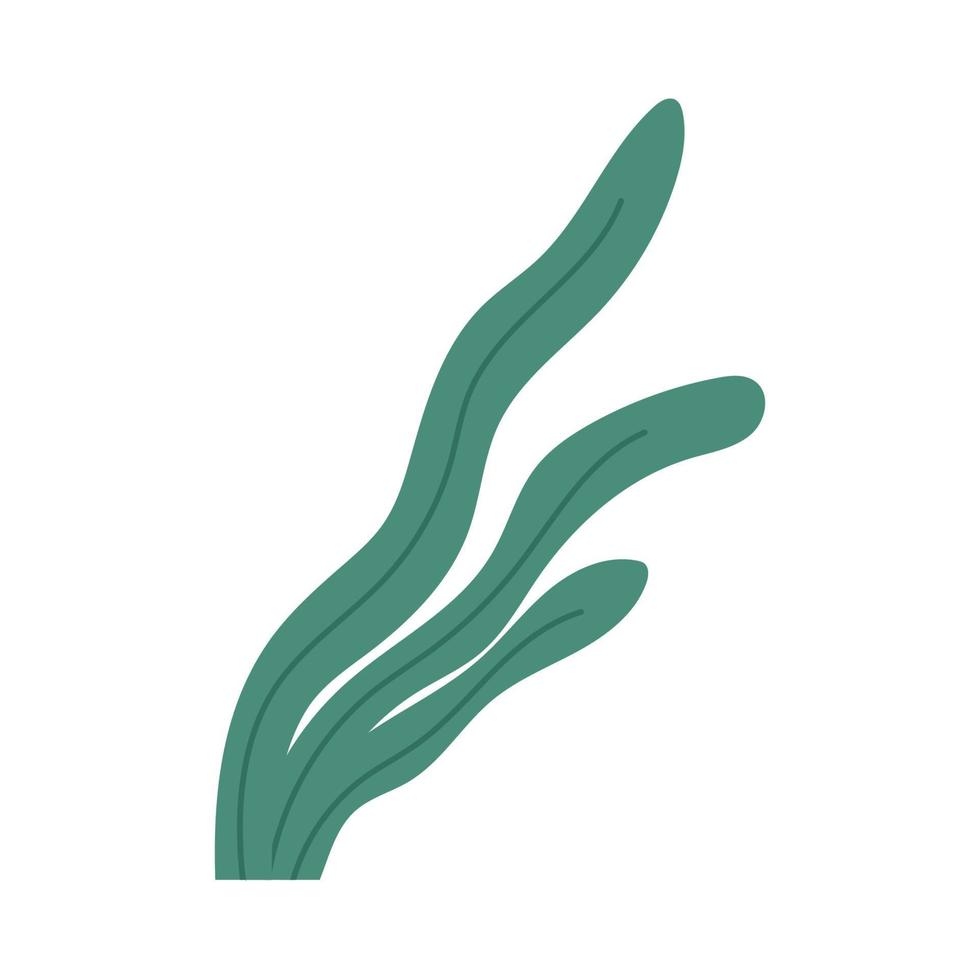 algas ou plantas desenhadas à mão, ilustração em vetor plana dos desenhos animados isolada no fundo branco. planta subaquática, algas ou laminaria. elemento de design de vegetação botânica.