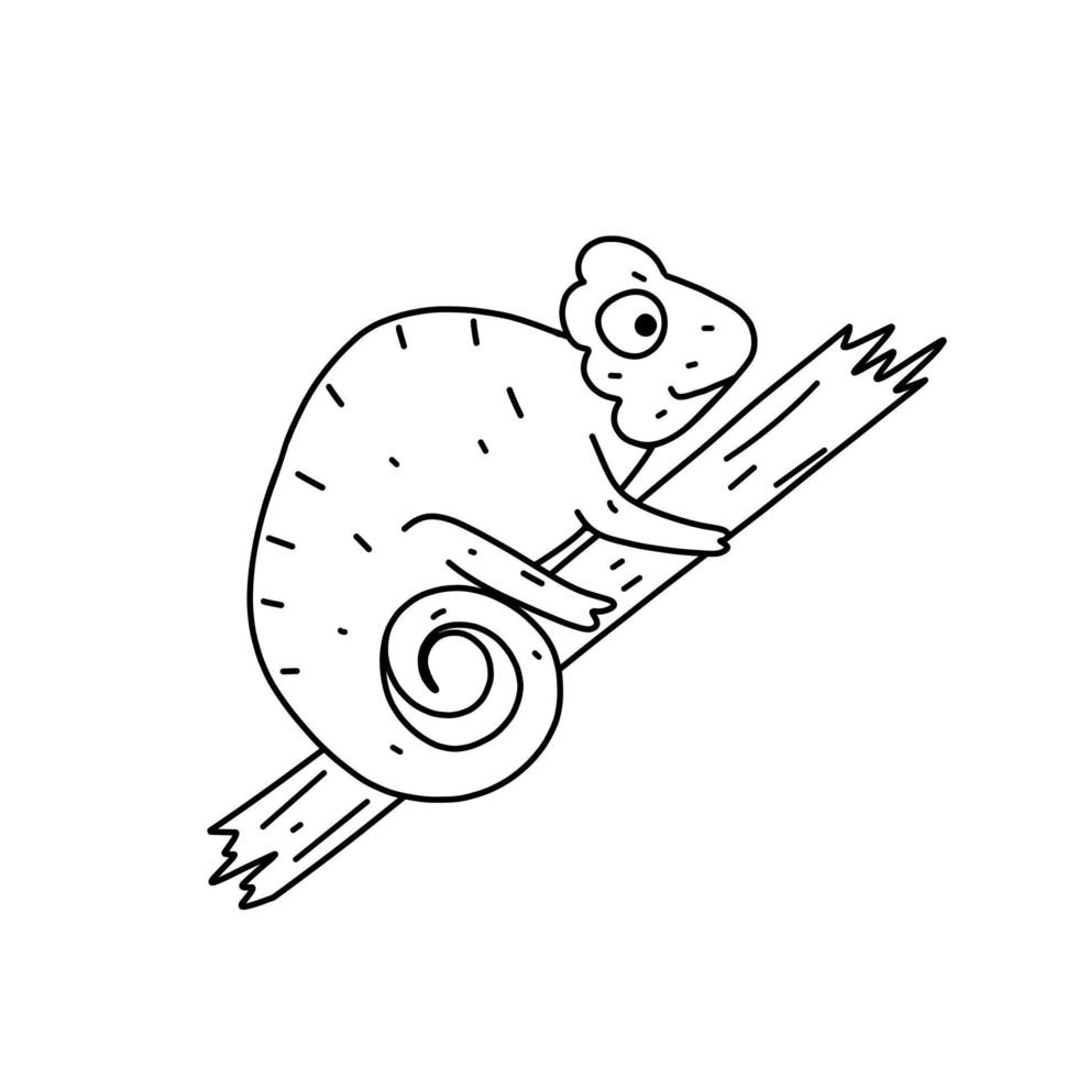 ícone de camaleão desenhado à mão no estilo doodle. ícone de vetor camaleão dos desenhos animados para web design isolado no fundo branco.