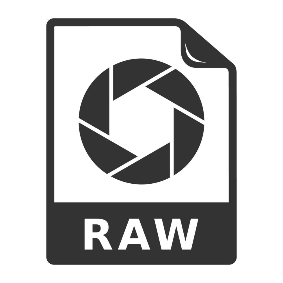 formato de arquivo raw de ícone preto e branco vetor