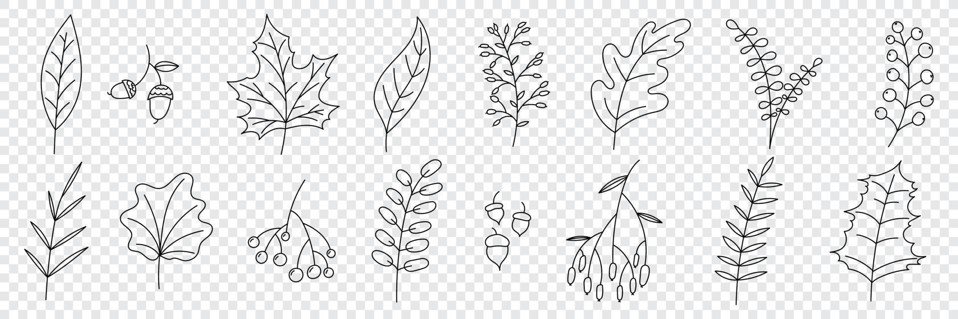 coleção de outono desenhada à mão com plantas e folhas sazonais. conjunto de plantas desenhadas à mão, folhas, flores. silhuetas de elementos naturais para fundos sazonais. ilustração vetorial vetor