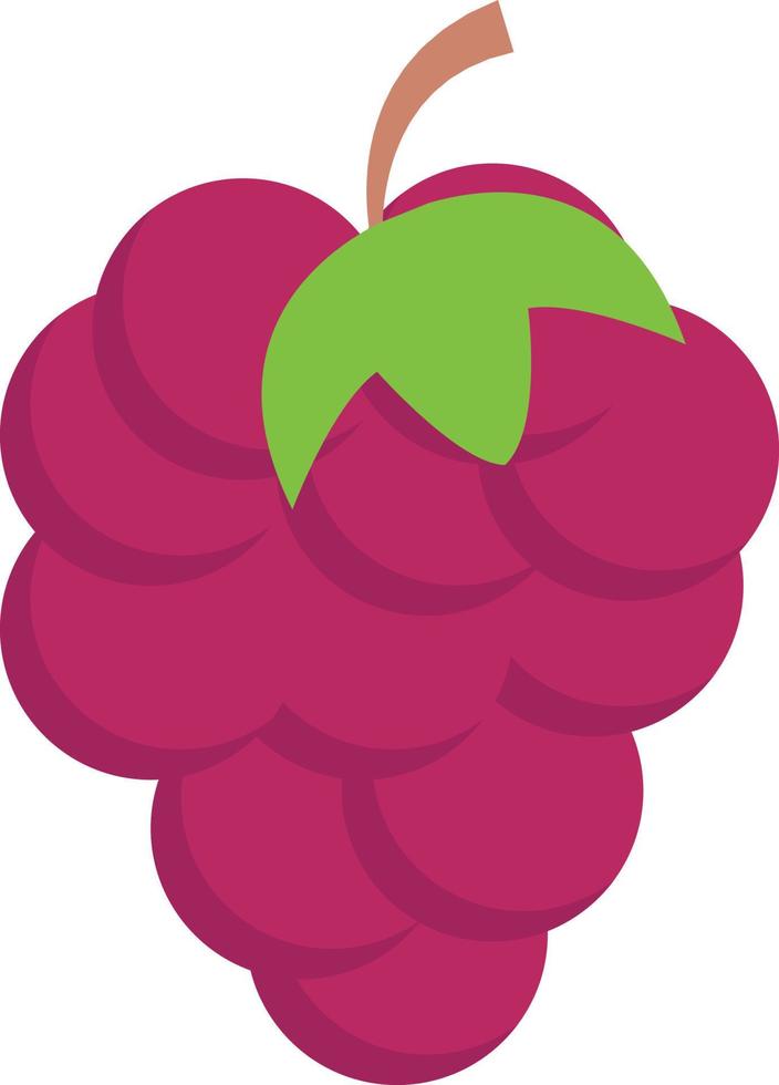 ilustração vetorial de uvas em ícones de símbolos.vector de qualidade background.premium para conceito e design gráfico. vetor