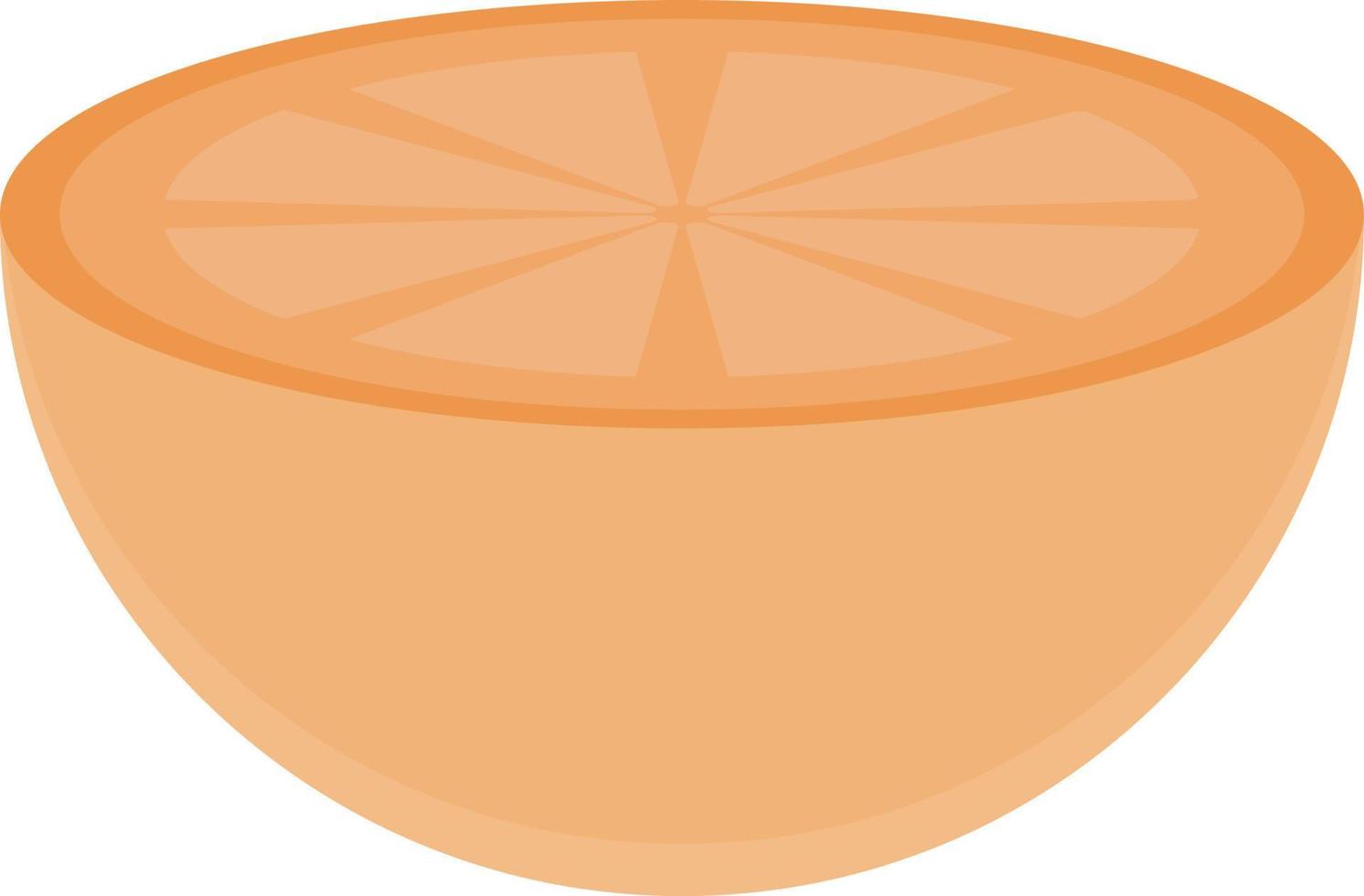ilustração vetorial de fatia de laranja em ícones de símbolos.vector de qualidade background.premium para conceito e design gráfico. vetor