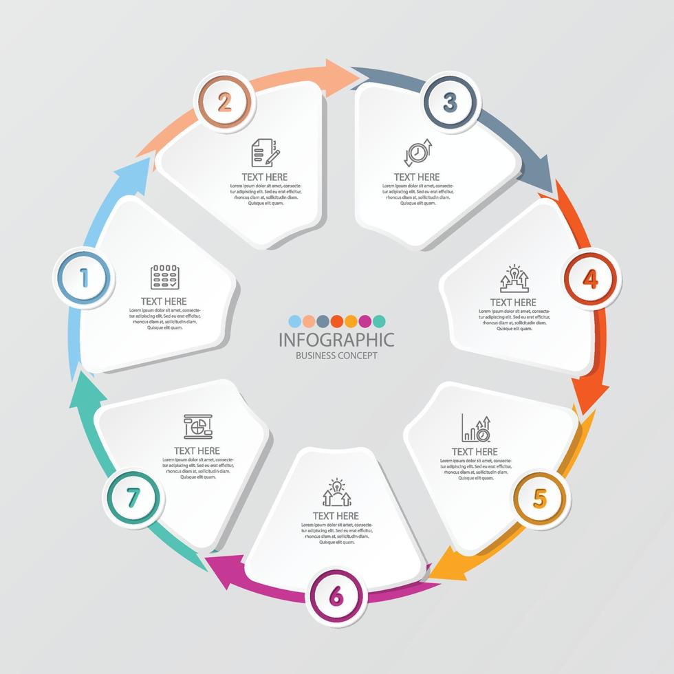 infográfico de círculo básico com 7 etapas, processo ou opções. vetor