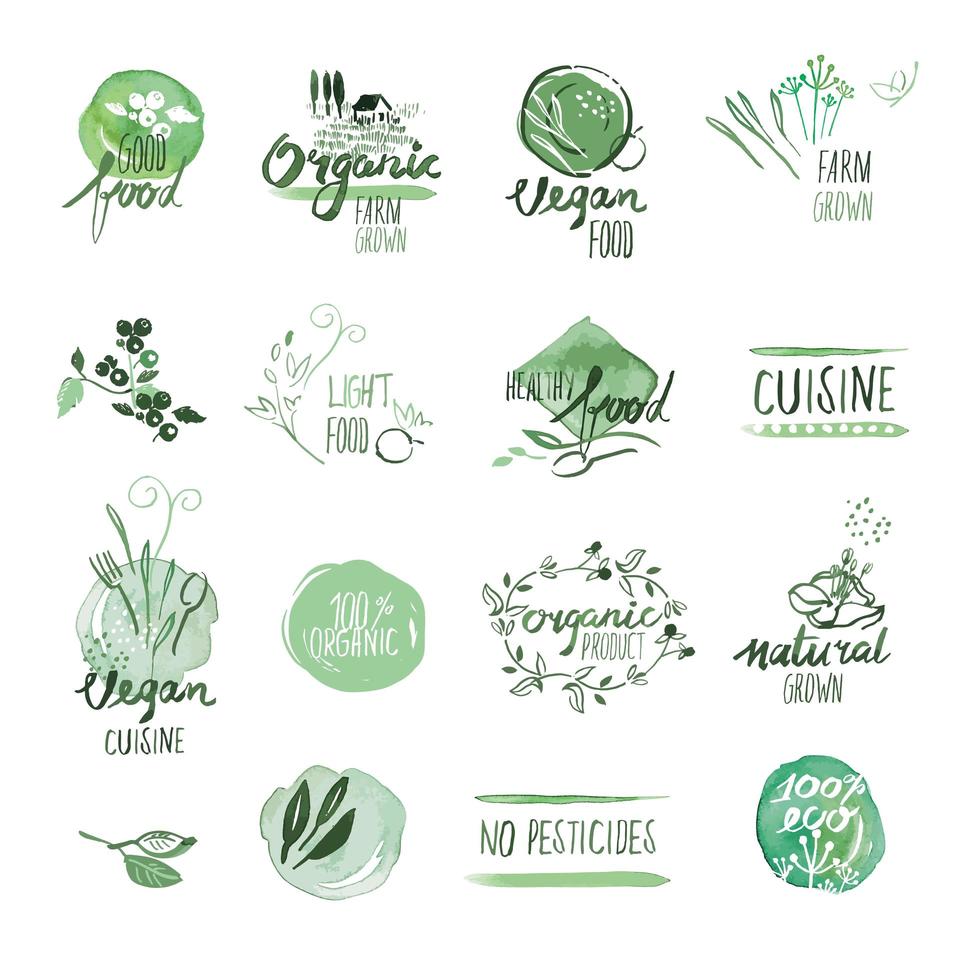 conjunto de alimentos orgânicos desenhados à mão em aquarela sinais vetor