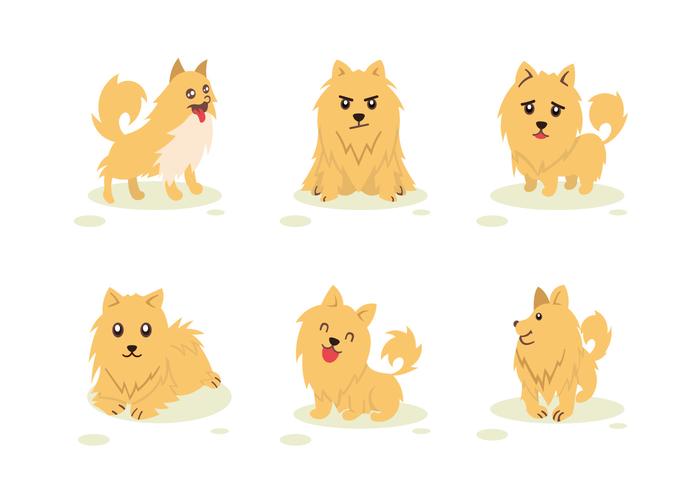 Caráter do cão de Pomeranian Pose Vector