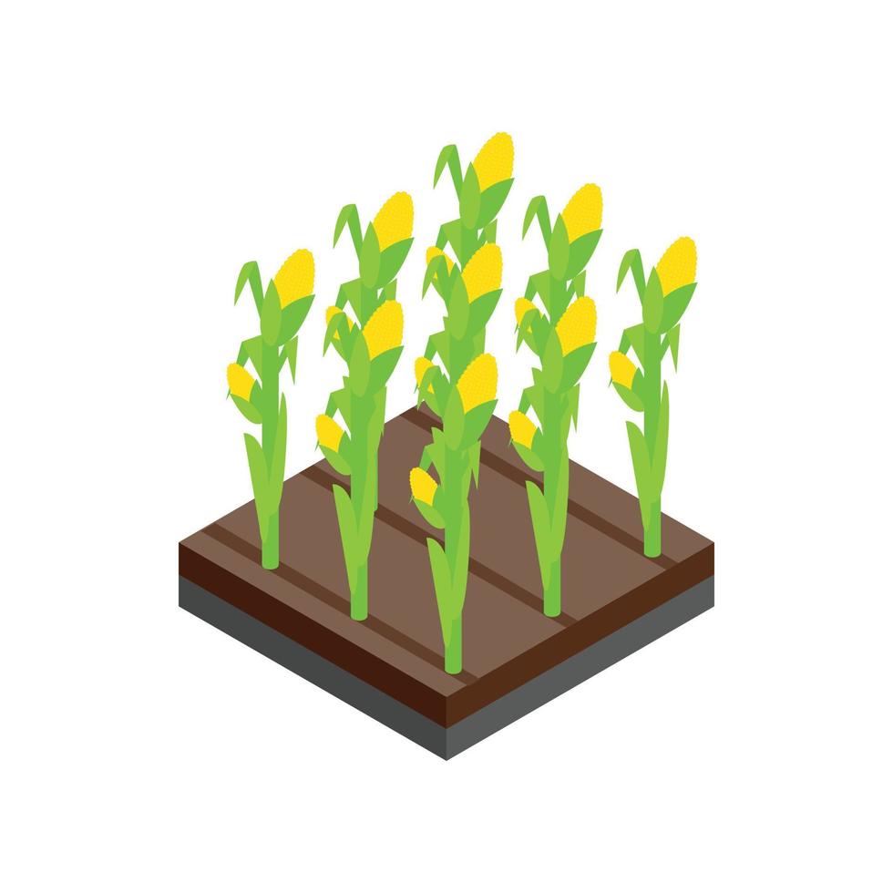 crescente ícone 3d isométrico de tulipas vetor