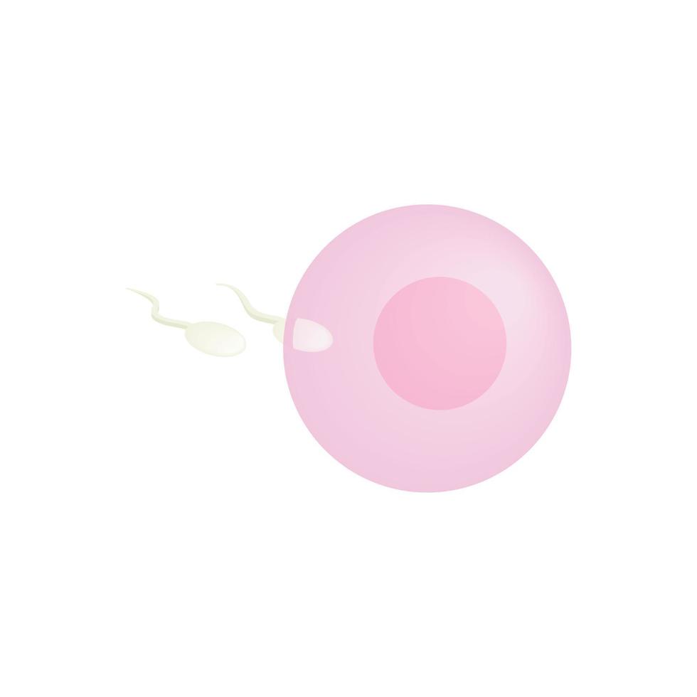 ícone 3d isométrico de ovo feminino vetor